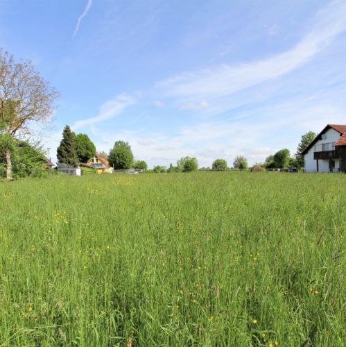 Bauen Wohnen Leben